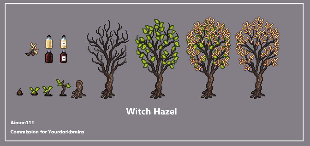 Witch Hazel Tree and Goods